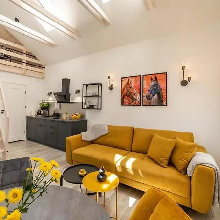 Apartament Golden Shine Sarbsk Pod Dębami Exterior foto