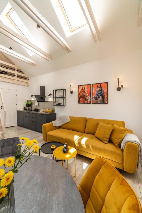 Golden Shine Pod Dębami Apartment Sarbsk