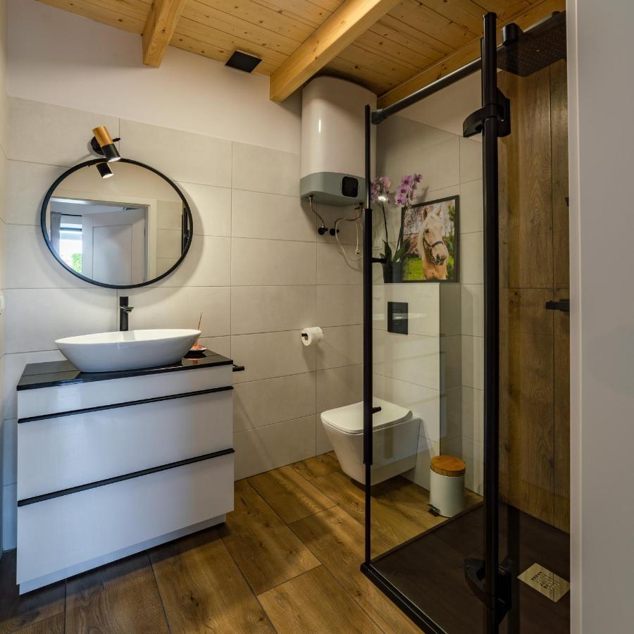 Apartment Golden Shine Pod Dębami