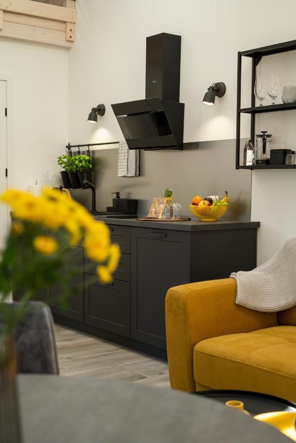 Golden Shine Pod Dębami Apartment